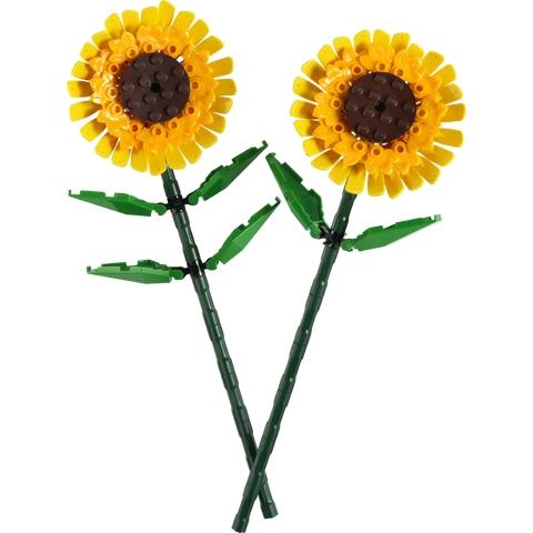 Sunflowers - Set - 40524-1