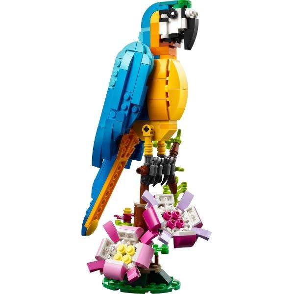 Exotic Parrot - Set - 31136-1