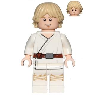 Luke Skywalker (Tatooine White Legs Stern / Smile Face Print) - Minifigure