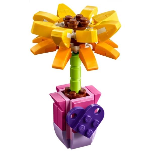 Friendship Flower / Sunflower polybag - Set - 30404