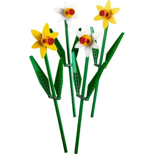 Daffodils - Set - 40646