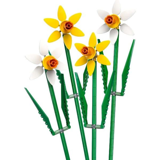 Daffodils - Set - 40747