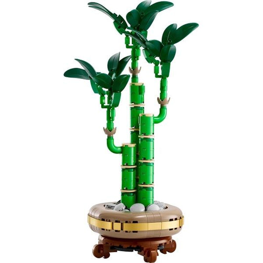 Lucky Bamboo - 10344-1 - Set - New Sealed