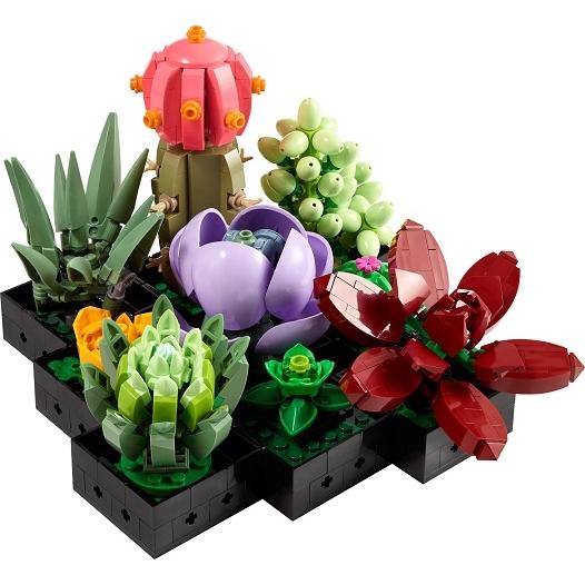 Succulents - 10309-1 - Set - Certified Pre-Owned