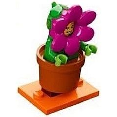 Flowerpot Girl Series 18 (Complete Set with Stand and Accessories) - col18-14 - Set - New